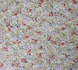 Champagne Flower Wall